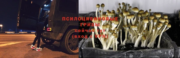 амфетамин Алексеевка