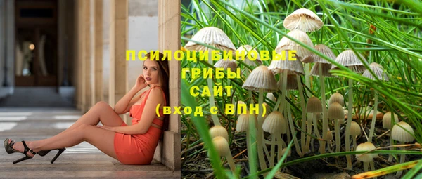 амфетамин Алексеевка