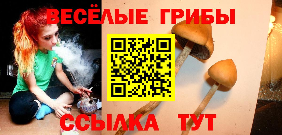 Галлюциногенные грибы MAGIC MUSHROOMS  Вход с VPN  закладки  Карачаевск 