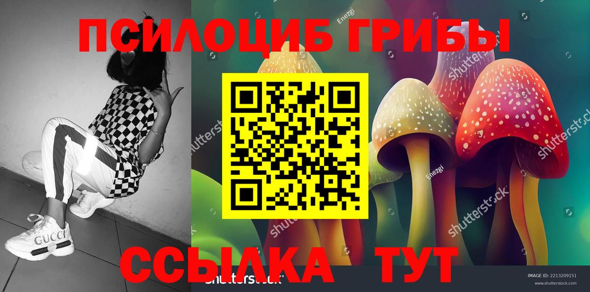 Псилоцибиновые грибы Psilocybine cubensis Карачаевск