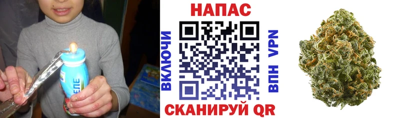 МАРИХУАНА сатива  как найти закладки  Карачаевск 